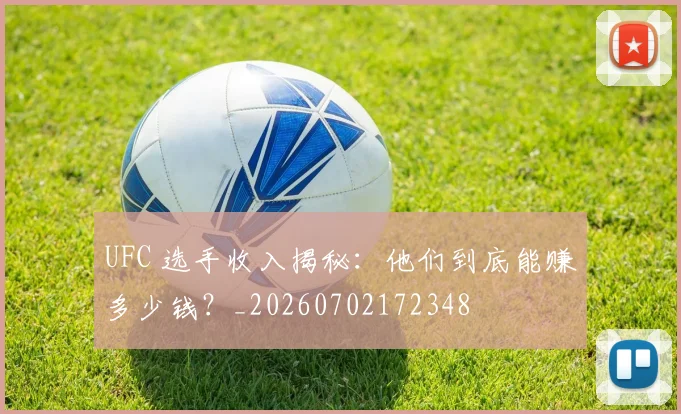 UFC 选手收入揭秘:他们到底能赚多少钱?_20260702172348